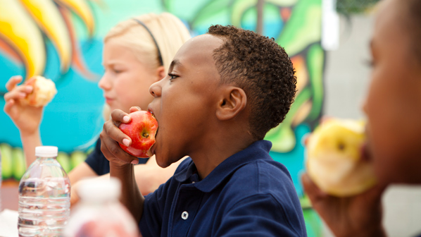 Why Health, Poverty, and Community Development Are Inseparable